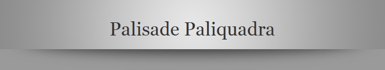 Palisade Paliquadra